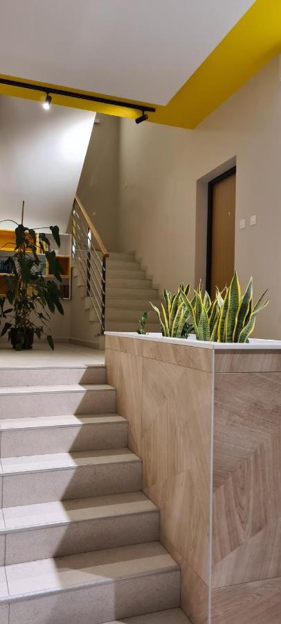 Delena Apartament Novi Sad